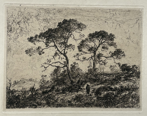 Paesaggio alberi incisione - paesaggio,